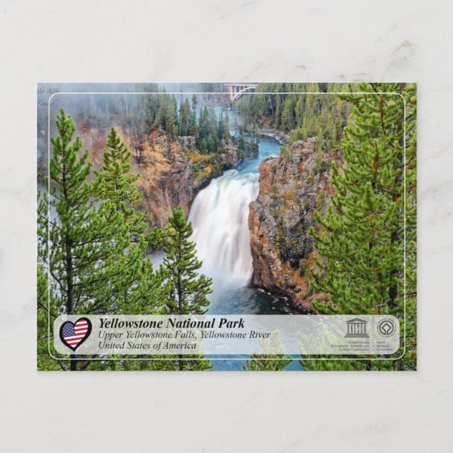 Carte Postale Parc national de Yellowstone - Upper Yellowstone F (Devant)