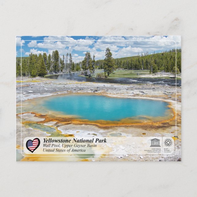 Carte Postale Parc national de Yellowstone - Wall Pool (Devant)