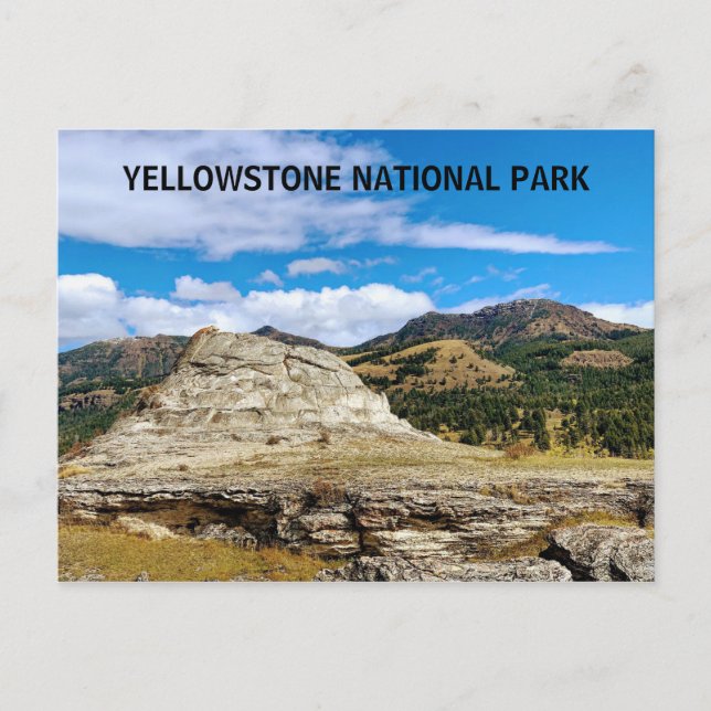 Carte Postale Parc national de Yellowstone Wyoming (Devant)
