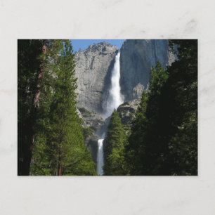 Carte Postale Parc national de Yosemite