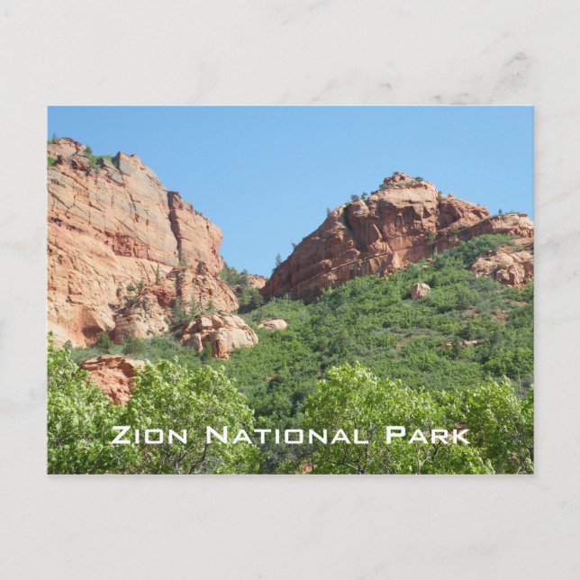 Carte Postale Parc national de Zion (Devant)
