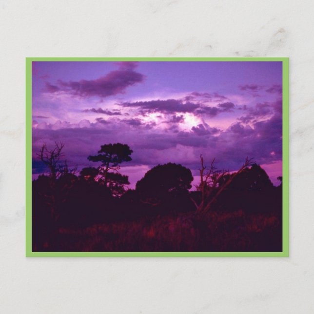 Carte Postale Parc national des Cavernes Carlsbad (Devant)