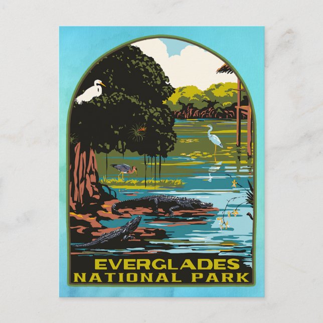 Carte Postale Parc national des Everglades (Devant)