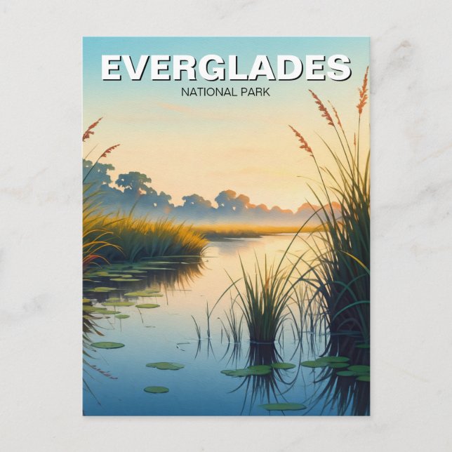 Carte Postale Parc national des Everglades du matin Floride Voya (Devant)