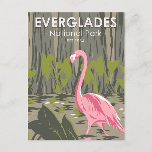 Carte Postale Parc national des Everglades Floride Flamant Vinta (Devant)