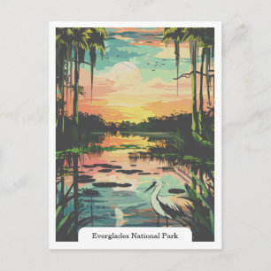 Carte Postale Parc national des Everglades, Floride USA