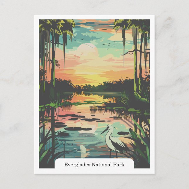 Carte Postale Parc national des Everglades, Floride USA (Devant)