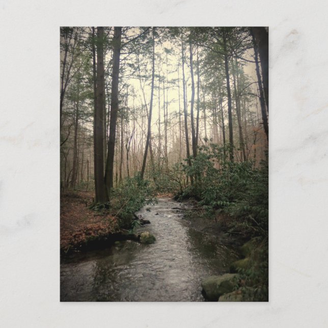 Carte Postale Parc national des Great Smoky Mountains (Devant)