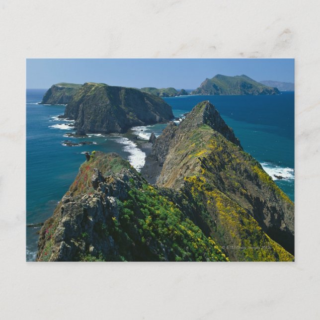 Carte Postale Parc national des îles Channel, Sud (Devant)