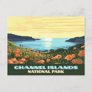 Carte Postale Parc national des îles du Channel Californie Contr