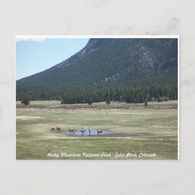 Carte Postale Parc national des Rocheuses à Estes park, CO (Devant)