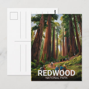 Carte Postale Parc national d'État de Redwood, Californie côtièr