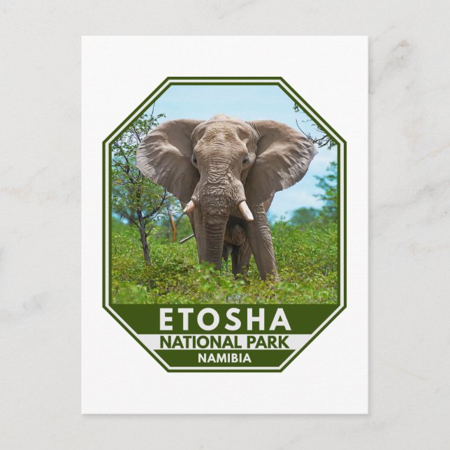 Carte Postale Parc national d'Etosha Namibie Elephant Aquarelle (Devant)