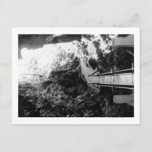 Carte Postale Parc national d'Hawaii, Vue d'un tube de lave