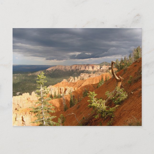 Carte Postale Parc national du Bryce Canyon (Devant)