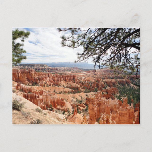 Carte Postale Parc national du canyon de Bryce Hoodoos (Devant)