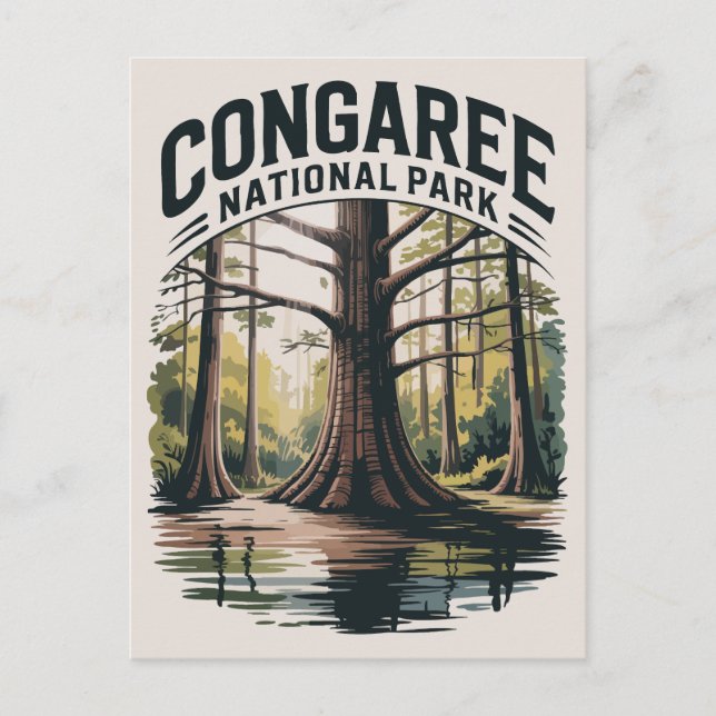 Carte Postale Parc national du Congaree Caroline du Sud Wilderne (Devant)
