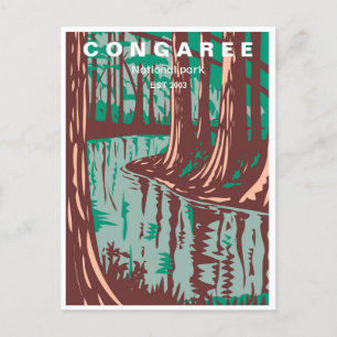 Carte Postale Parc national du Congaree vintage Caroline du Sud