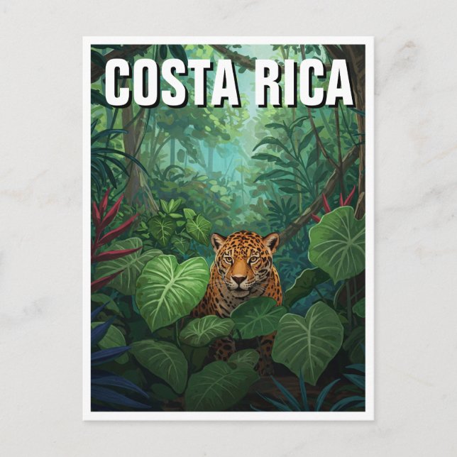 Carte Postale Parc national du Corcovado Costa Rica Jaguar (Devant)