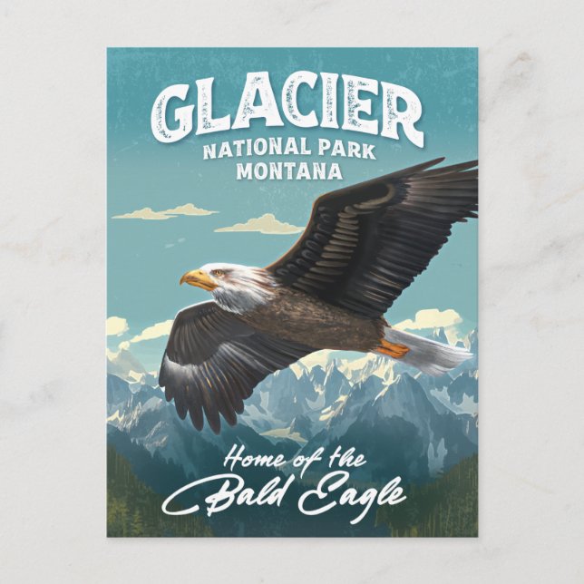 Carte Postale Parc national du Glacier Bald Eagle (Devant)