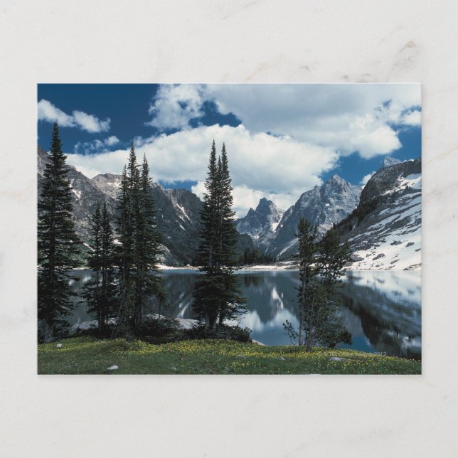 Carte Postale Parc national du Grand Teton, Wyoming (Devant)