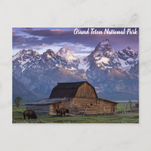 Carte Postale Parc national du Grand Teton Wyoming Mountains Gra