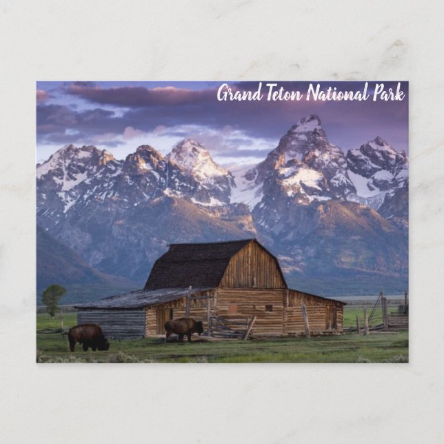 Carte Postale Parc national du Grand Teton Wyoming Mountains Gra (Devant)