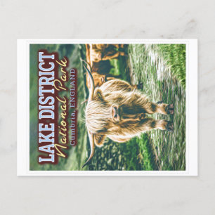 CARTE POSTALE PARC NATIONAL DU LAC DISTRICT - CUMBRIA ANGLETERRE