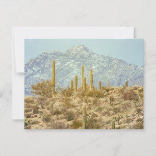 Carte Postale Parc national du Saguaro avec la montagne