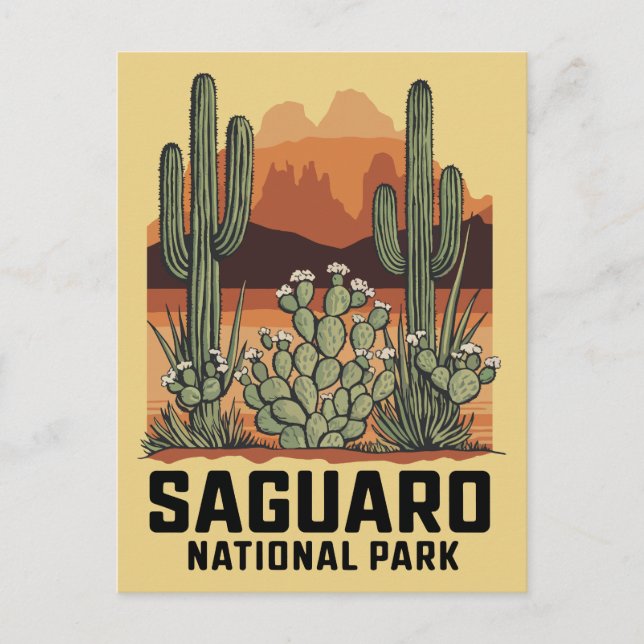 Carte Postale Parc national du Saguaro Cactus (Devant)