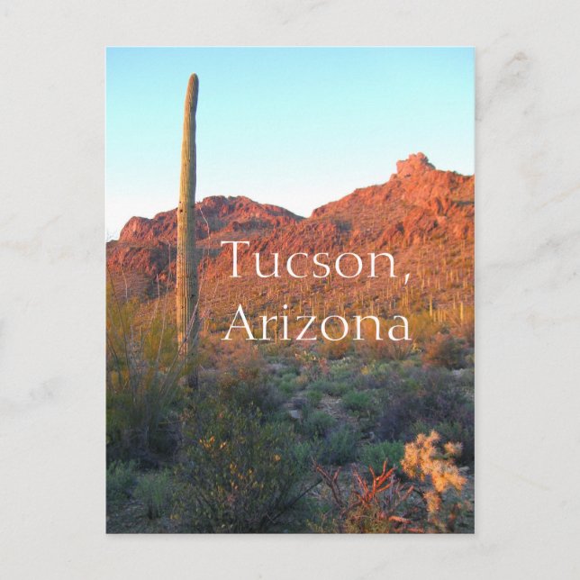 Carte Postale Parc national du Saguaro Tucson, Arizona (Devant)