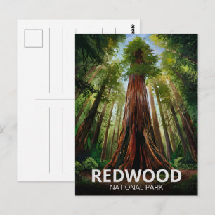 Carte Postale Parc national et d'État Redwood, Californie côtièr