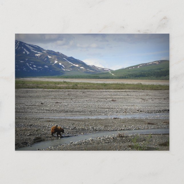 Carte Postale Parc national et réserve de Denali, Alaska (Devant)