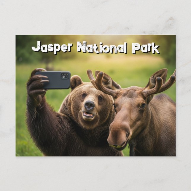 Carte Postale Parc national Jasper Ours Moose Selfie Canada (Devant)