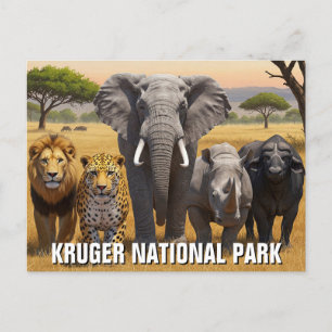 Carte Postale Parc national Kruger Afrique du Sud Voyage