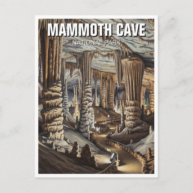 Carte Postale Parc national Mammoth Cave Travel (Devant)