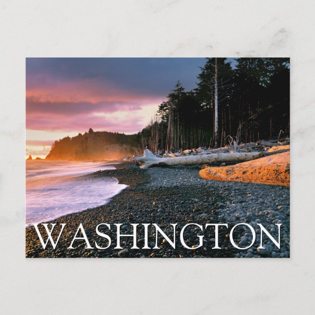 Carte Postale Parc national olympique | État de Washington (Devant)
