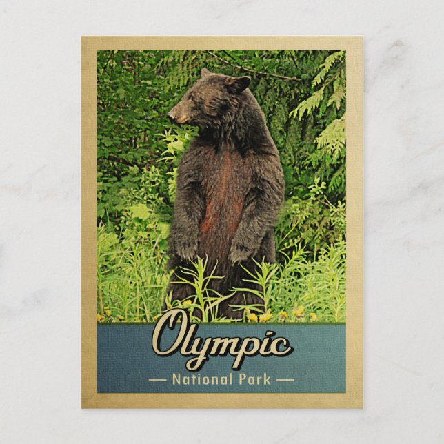 Carte Postale Parc national olympique Ours Vintage (Devant)