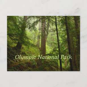Carte Postale Parc national olympique Rainforest