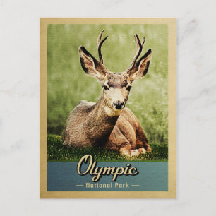 Carte Postale Parc national olympique Vintage Deer