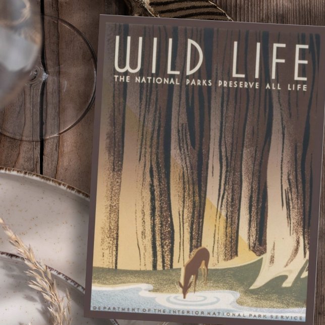 Carte Postale Parc national vintage Retro Grand Wild Life (Créateur téléchargé)