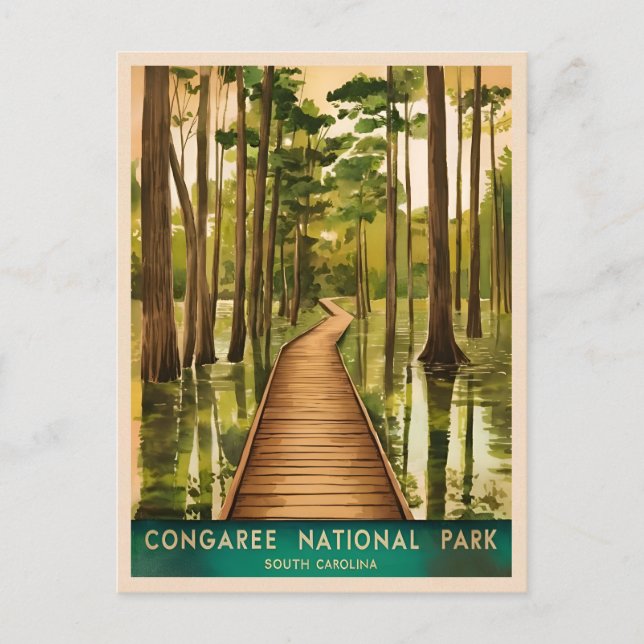 Carte Postale Parc national Vintage voyage Congaree Pittoresque  (Devant)
