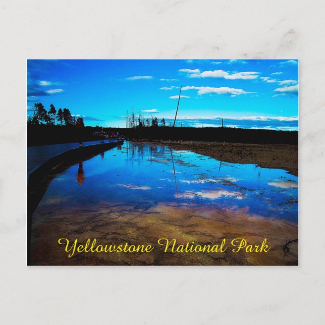 Carte postale Parc national Yellowstone (Devant)