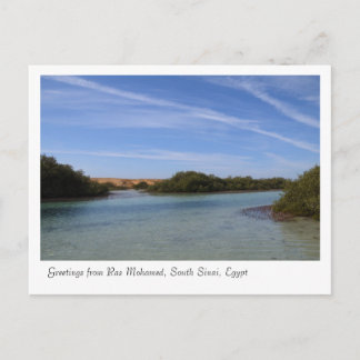 Carte Postale Parc naturel de Ras Mohamed, Sinaï, Egypte