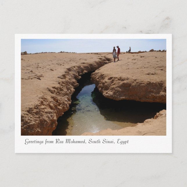 Carte Postale Parc naturel de Ras Mohamed, Sinaï, Egypte (Devant)