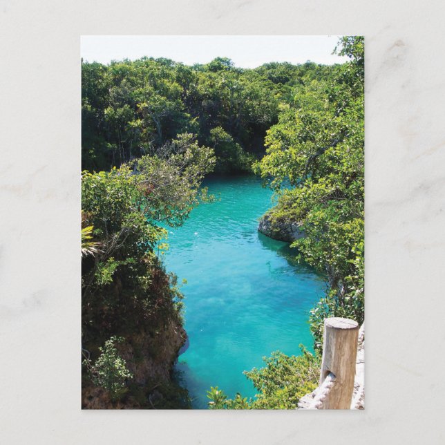 Carte Postale Parc naturel de Xel-Ha, Mexique (Devant)