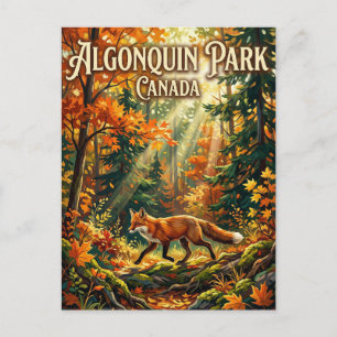 Carte Postale Parc provincial Algonquin Canada