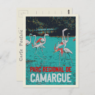 Carte Postale Parc régional de Camargue, France, flamants roses