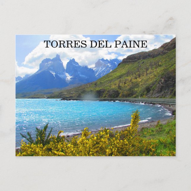 Carte Postale parc torres del paine (Devant)