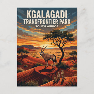 Carte Postale Parc transfrontalier de Kgalagadi Afrique du Sud